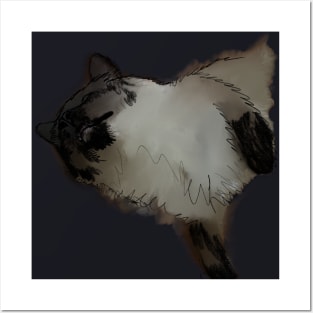 sleeping cat Posters and Art